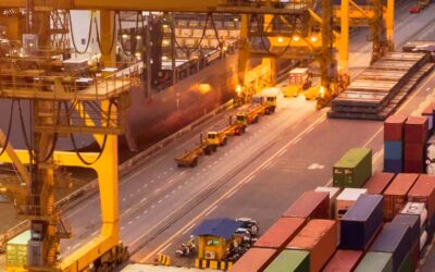 Asia’s Trade Agreements: Opportunities and Challenges for Import-Export Businesses